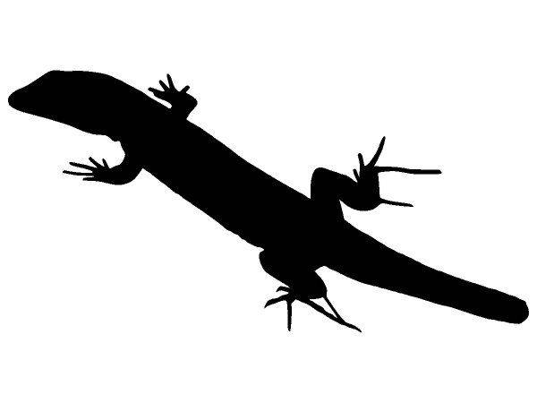 Животные 4196