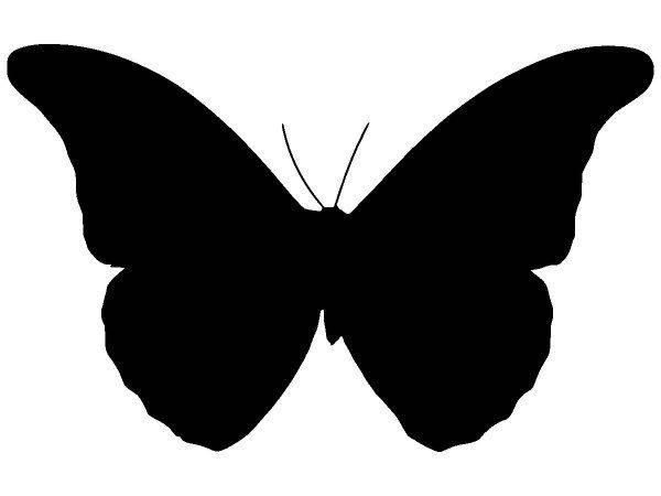 Животные 1350