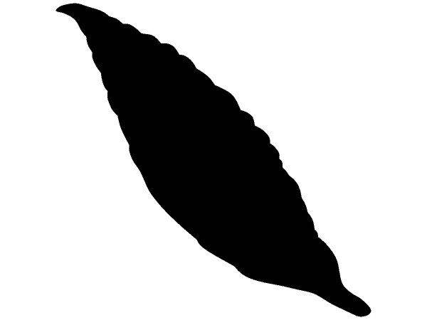 Животные 3854