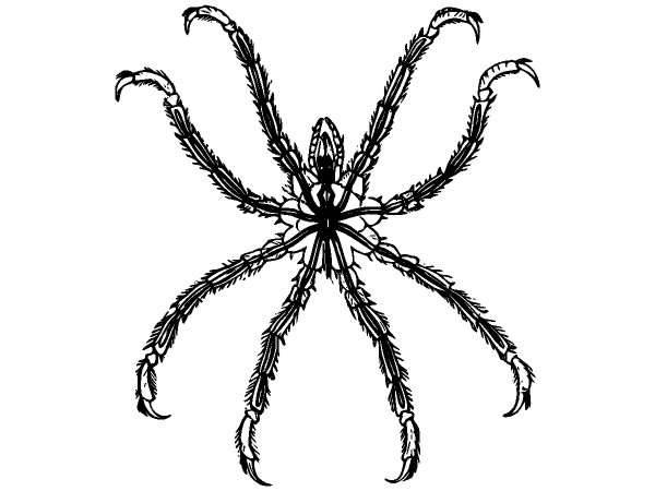 Животные 1275