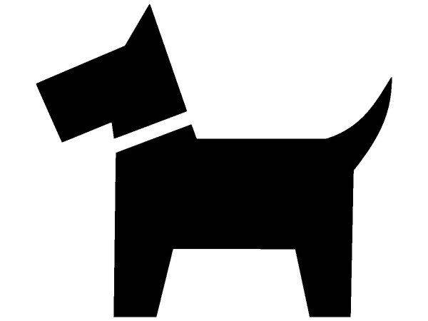 Животные 2857