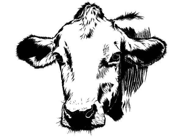 Животные 1167