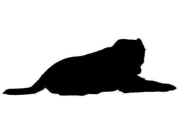 Животные 4169