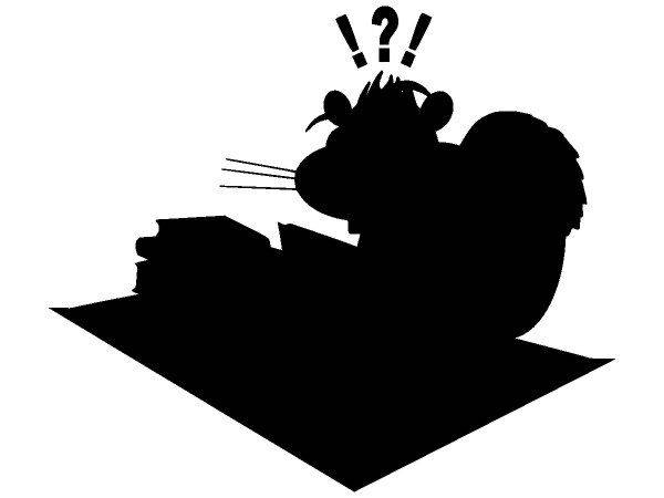 Животные 1704