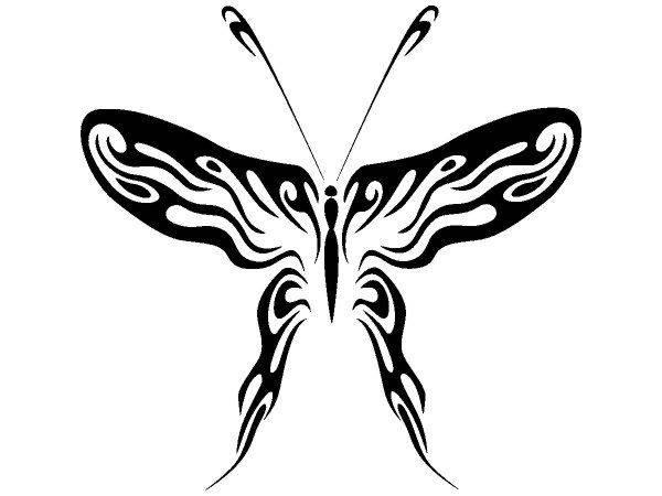 Животные 2633