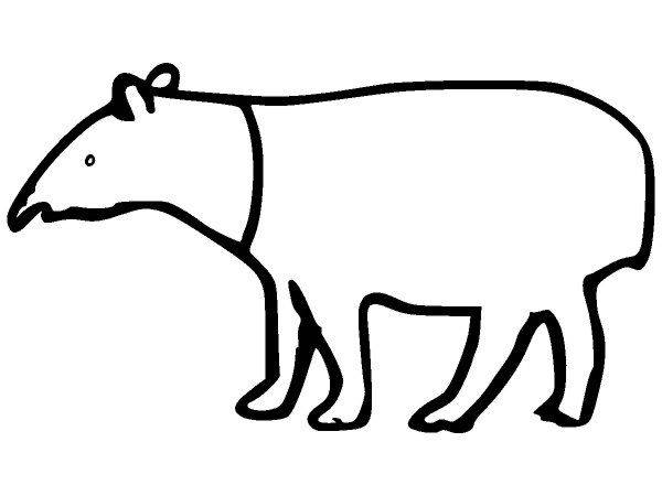 Животные 246