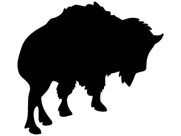 Животные 703 Животные 703