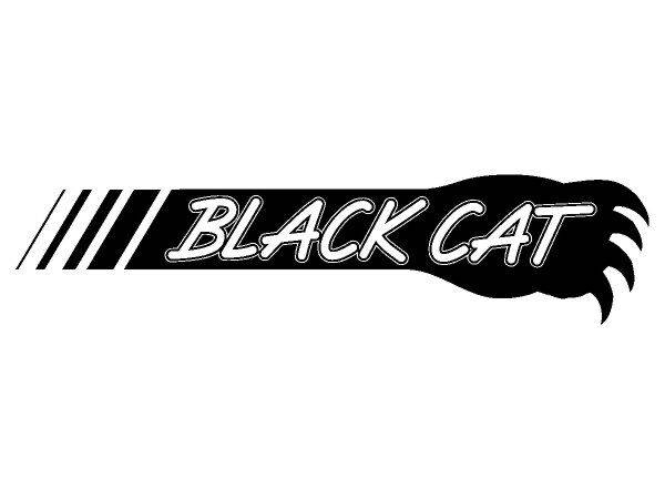 Виниловая наклейка на авто 42