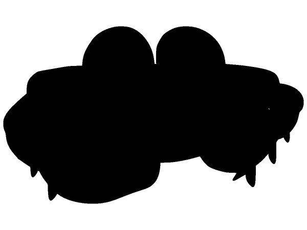 Животные 3948