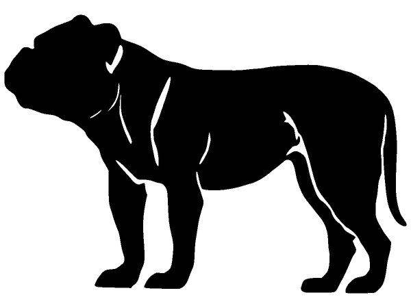 Животные 2878