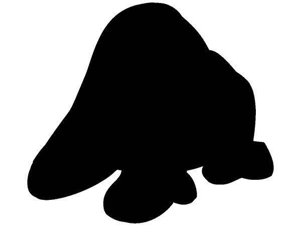 Животные 404