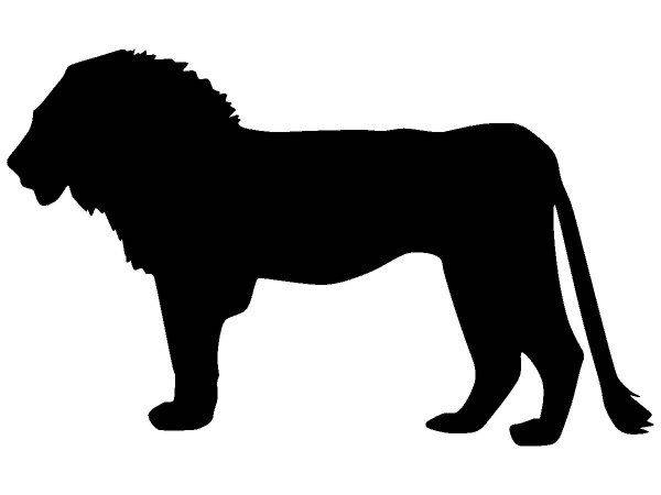 Животные 3714 Животные 3714