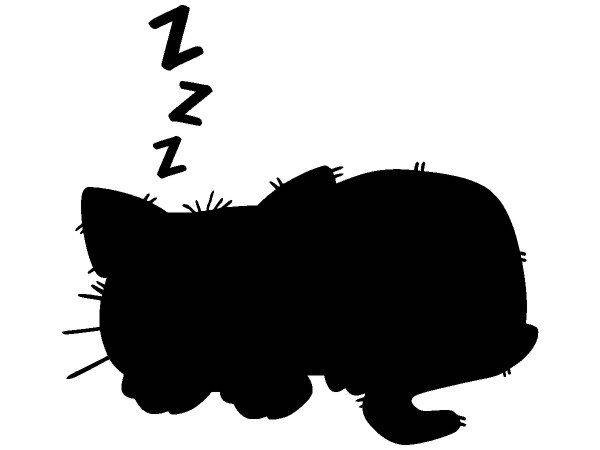 Животные Спящий котенок 76 Животные Спящий котенок 76