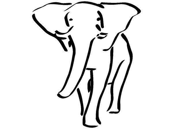 Животные 534 Животные 534