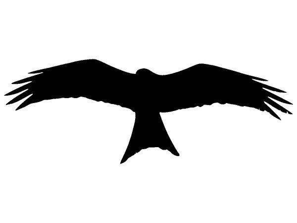 Животные 4324 Животные 4324