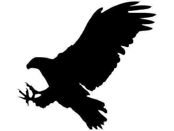 Животные 3982