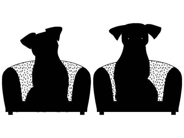 Животные 3527 Животные 3527