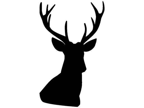 Животные 3257 Животные 3257