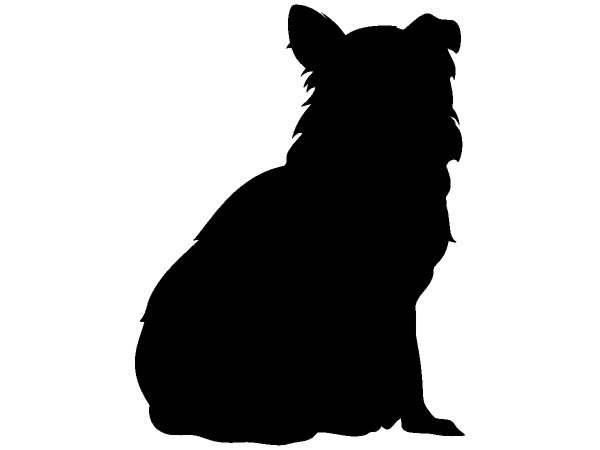 Животные 424