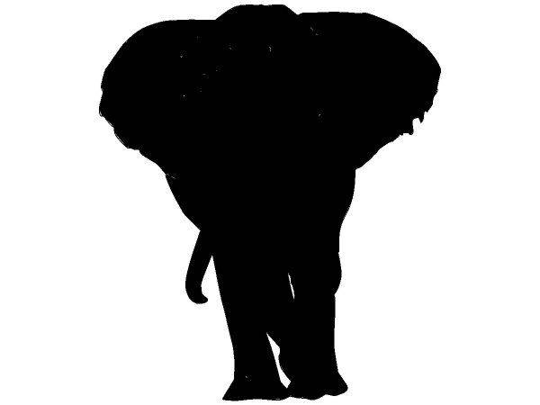 Животные 4326 Животные 4326