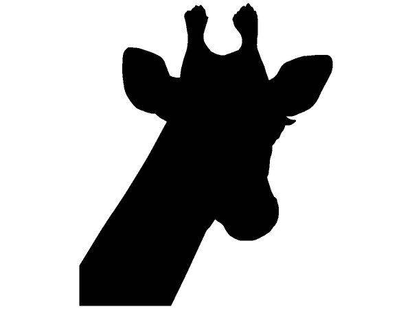 Животные 2716 Животные 2716