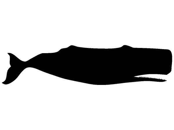 Животные 1482