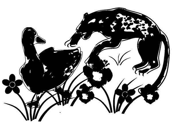 Животные 2328