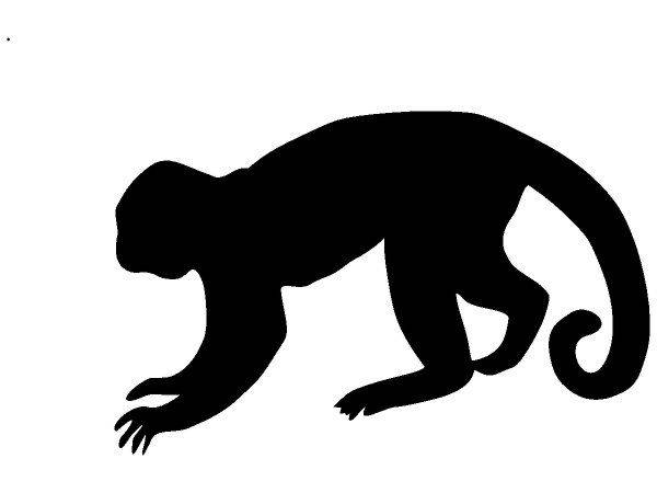 Животные 2368 Животные 2368