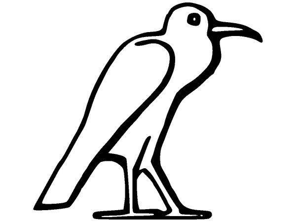 Животные 2644