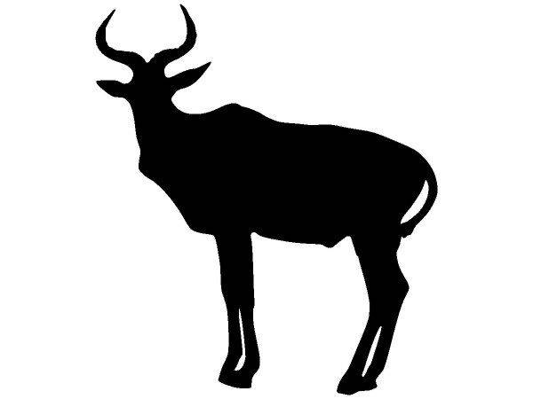 Животные 3910 Животные 3910