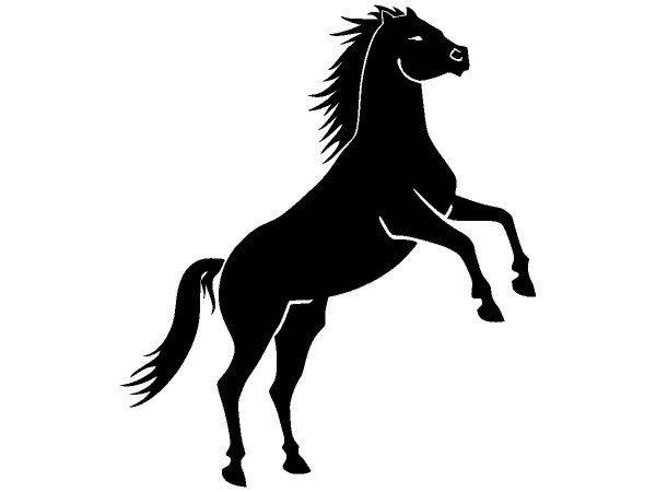 Животные 2957 Животные 2957