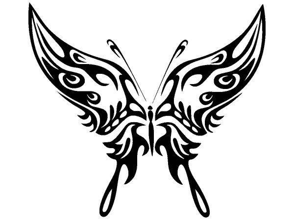 Животные 2566