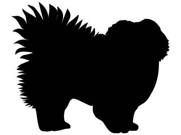 Животные 724 Животные 724