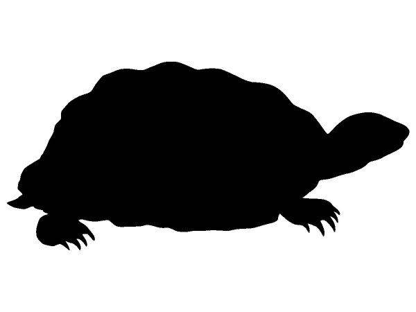 Животные 3340 Животные 3340