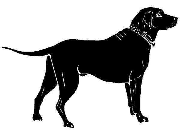 Животные 3967