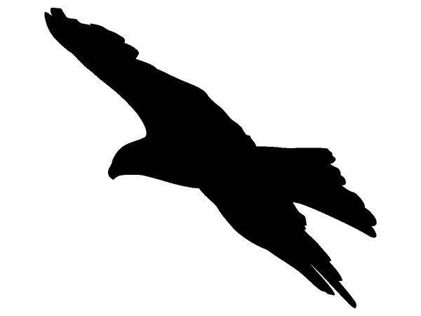 Животные 3319 Животные 3319