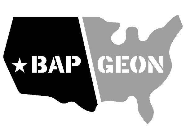 Bapgeon logo Bapgeon logo