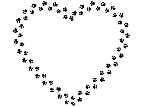 Животные 3050 Животные 3050