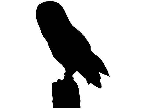 Животные 2337