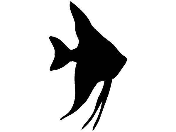 Животные 1665