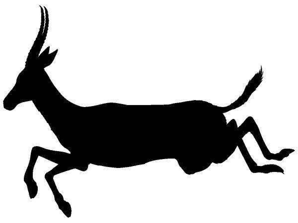 Животные 718 Животные 718