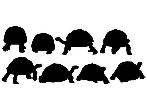 Животные 1351