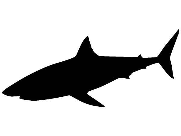 Животные 1345