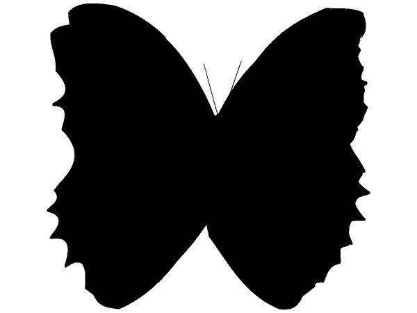 Животные 1384