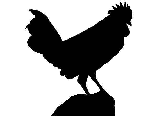 Животные 1304