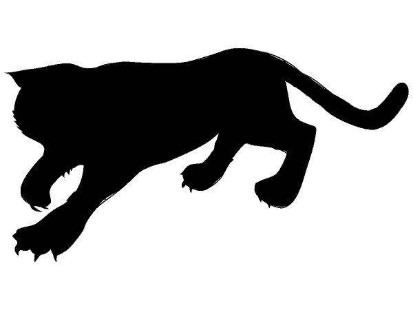 Животные 642