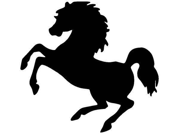 Животные 3552 Животные 3552