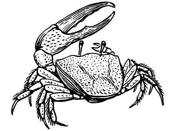 Животные 3783 Животные 3783