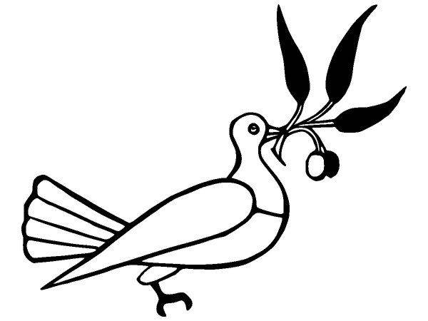 Животные 2743