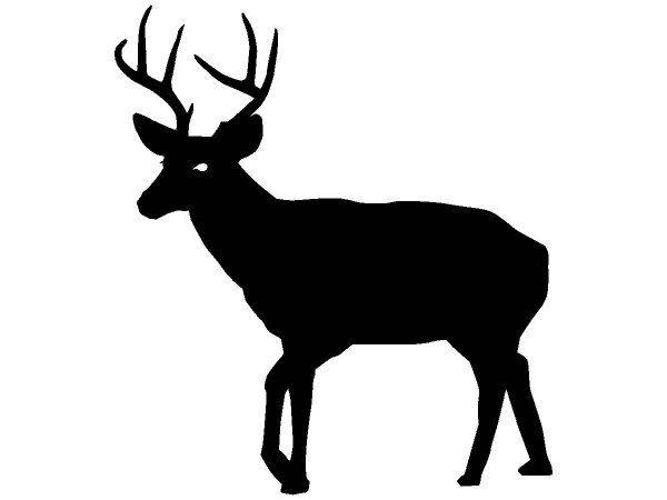 Животные 1328